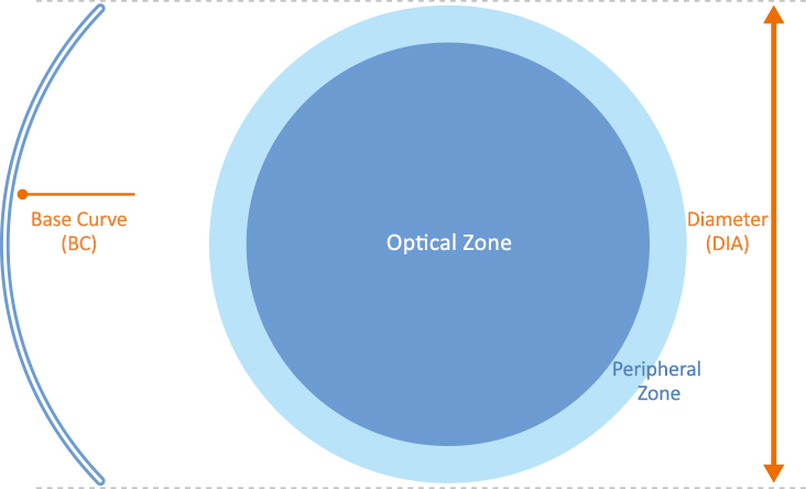 Infographic explaining the base curve (BC) in contact lenses