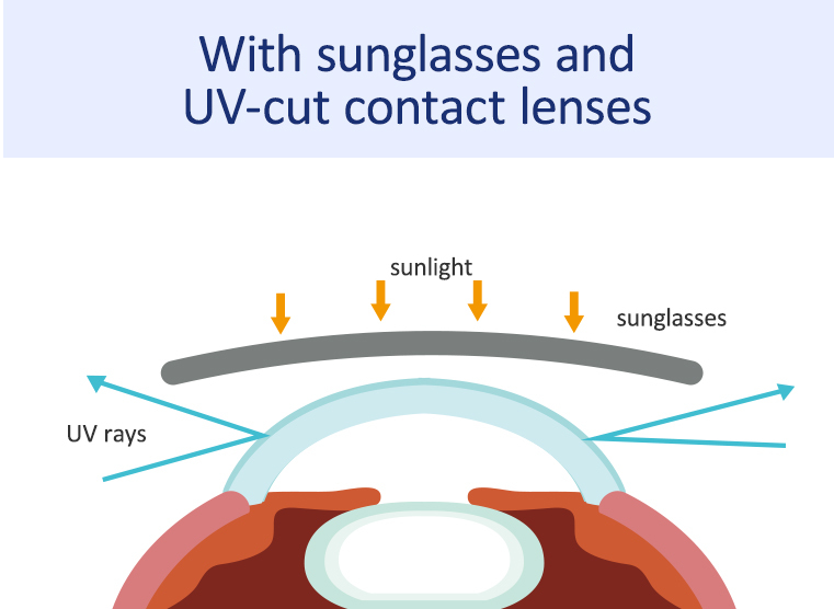 Infographic showing UV rays entering through the gaps are blocked before reaching your eyes.
