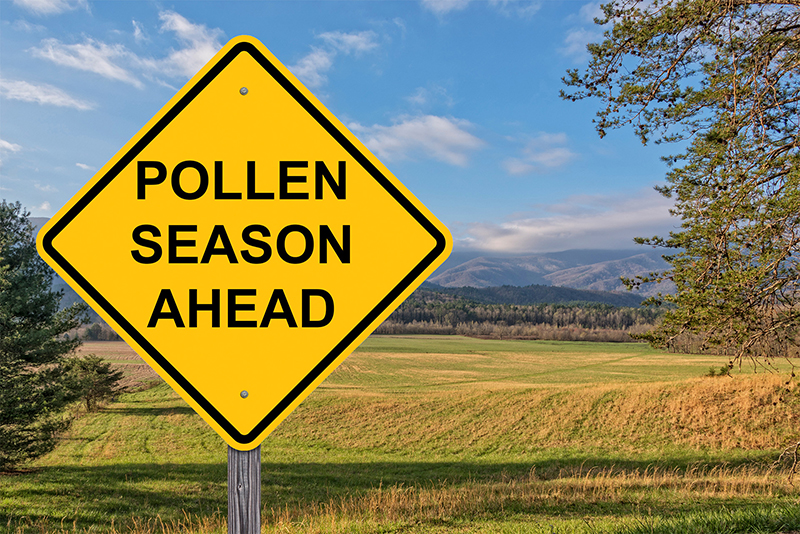 Yellow road sign in a field with text saying “Pollen Season Ahead”