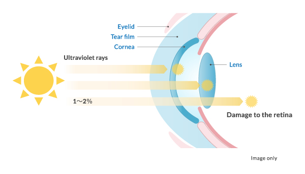 Protect The Eyes From Ultraviolet Rays